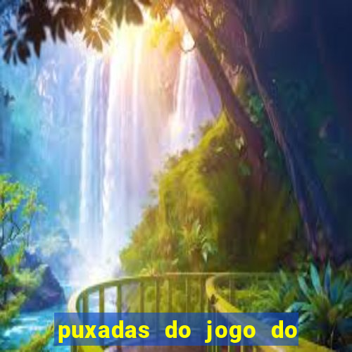 puxadas do jogo do bicho sueli